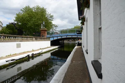 DSC_2739 (Large).JPG